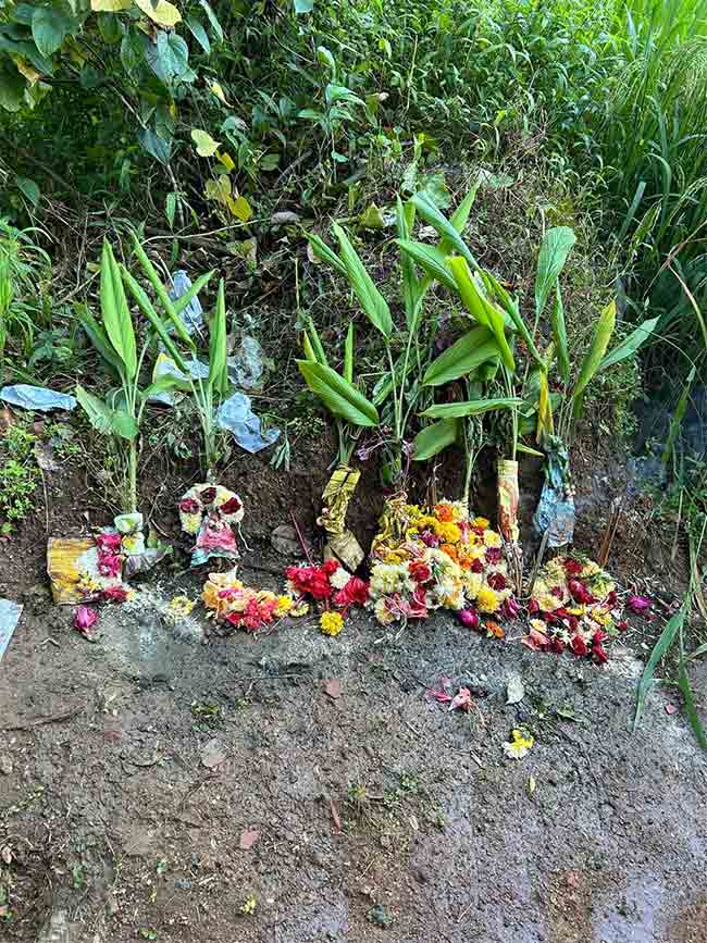 Photo gallery : भक्तिमय वातावरणात गौरी विसर्जनाचा सोहळा संपन्न
