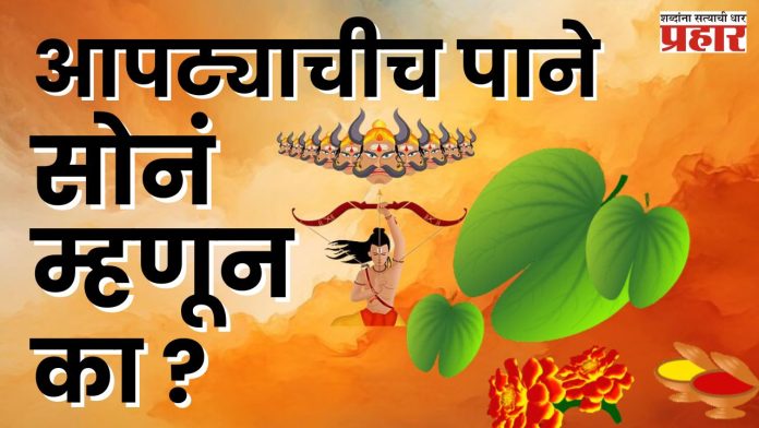 Dussehra 2024 : दसऱ्याला आपट्याचीचं पाने सोनं म्हणून का देतात? 'हे' आहे कारण