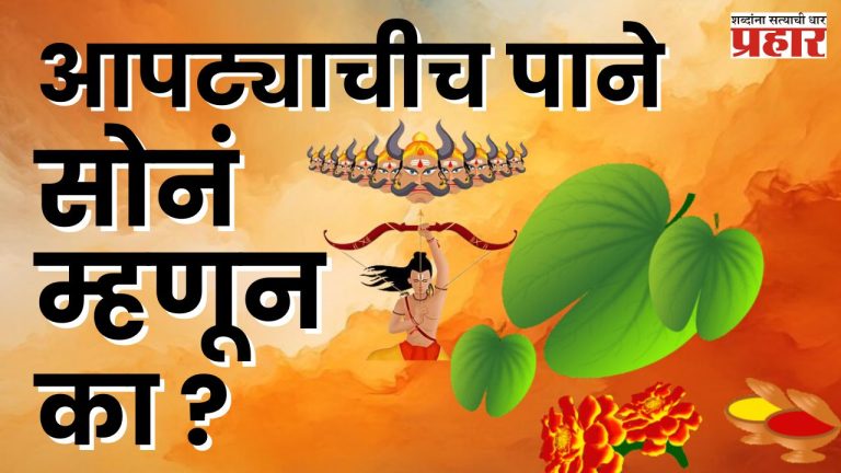 Dussehra 2024 : दसऱ्याला आपट्याचीचं पाने सोनं म्हणून का देतात? ‘हे’ आहे कारण
