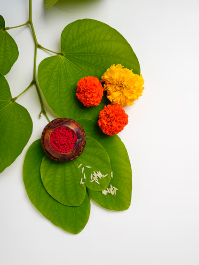 Dussehra Leaves: दसऱ्याला सोनं म्हणून आपट्याची पाने का वाटतात? कारण वाचा