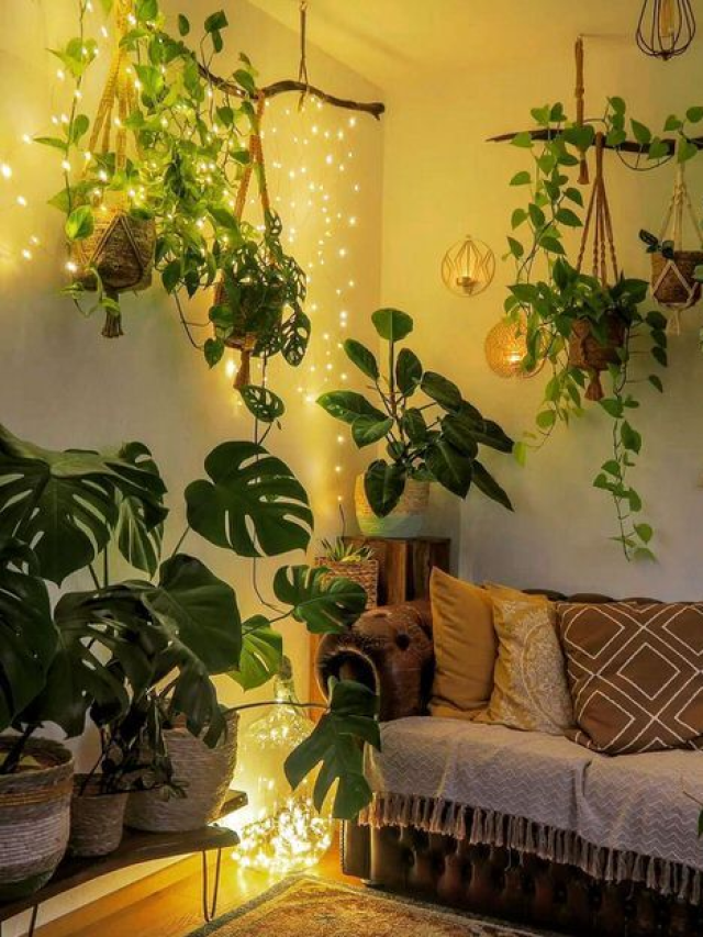 Diwali 2024 Lucky Plants : आली दिवाळी! दिवाळीत धनलाभासाठी लावा ही झाडे