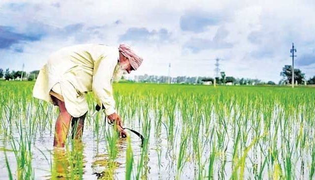 पंजाबचे वाळवंट?