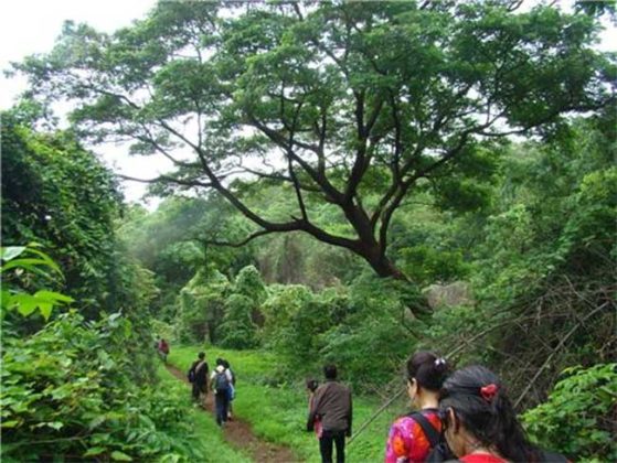 महाराष्ट्रातील निसर्ग पर्यंटन स्थळांना मुबलक निधी