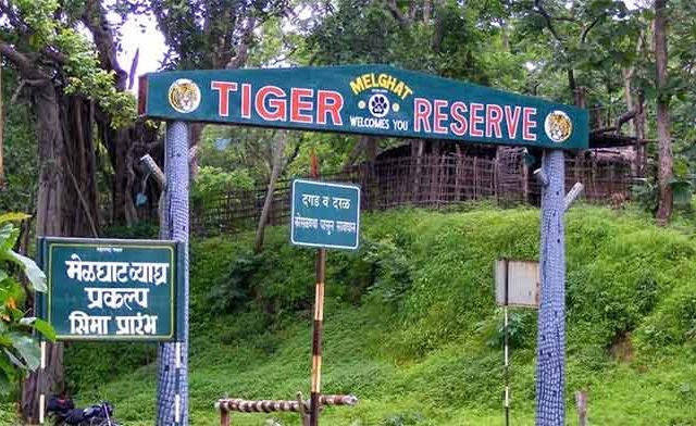 Melghat Tourism : मेळघाट व्याघ्र प्रकल्पातील जंगल सफारीसाठी पर्यटकांची झुंबड!