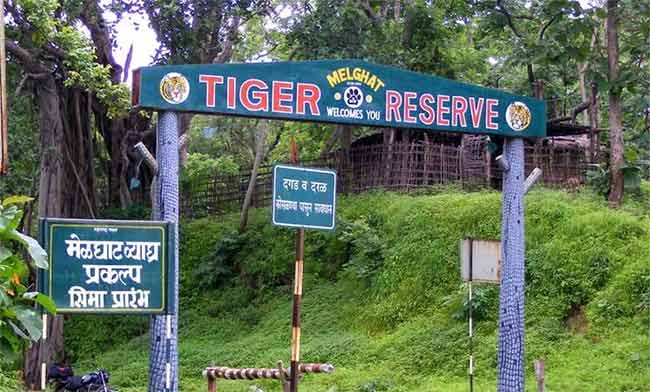 Melghat Tourism : मेळघाट व्याघ्र प्रकल्पातील जंगल सफारीसाठी पर्यटकांची झुंबड!