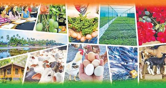 निवडणुका संंपल्या; आता विकासावर बोला!