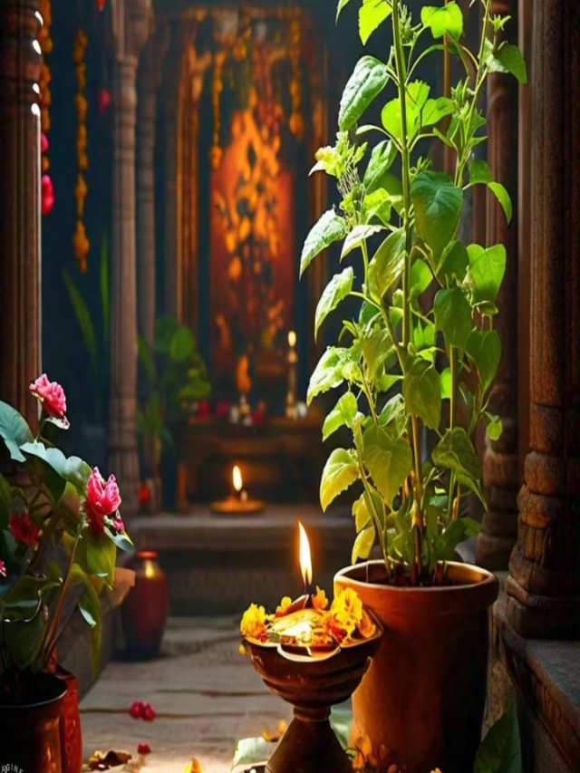 Tulsi Vivah 2024 : म्हणून भगवान विष्णूने तुळशीसोबत लग्न केलं!