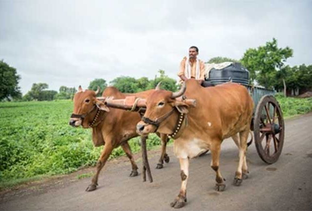पहिली गाडी, बैलगाडी
