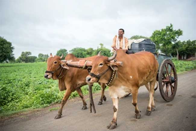 पहिली गाडी, बैलगाडी