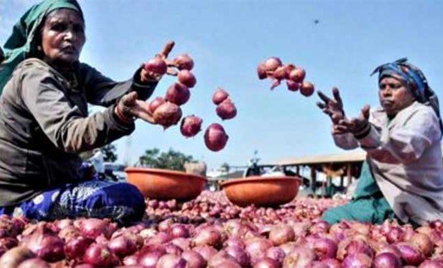 कांद्याचे दर वाढल्याने शेतकऱ्यांना दिलासा
