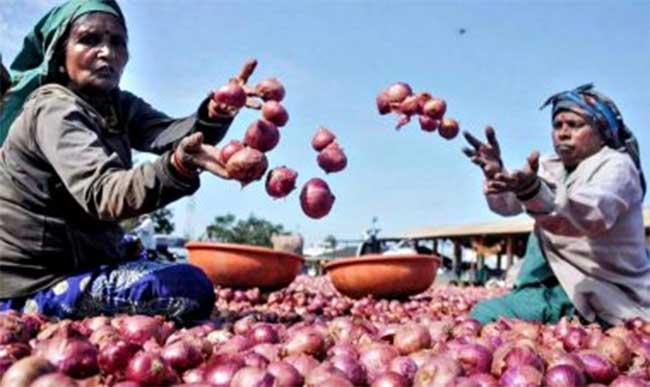 कांद्याचे दर वाढल्याने शेतकऱ्यांना दिलासा
