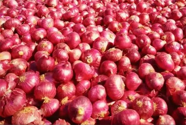 बांगलादेशने आयात बंदी हटवल्यानंतर कांद्याच्या दरात अल्पशी सुधारणा
