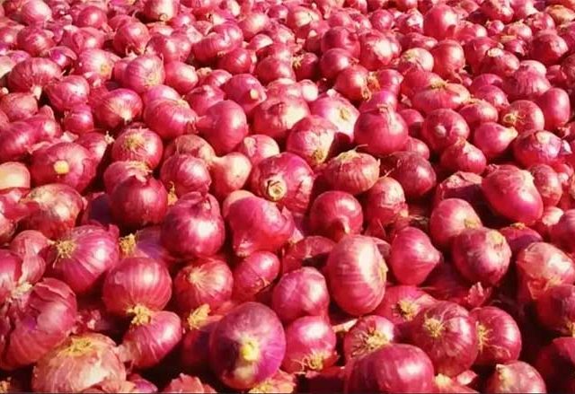 Onion Price: कांद्याचे भाव स्थिर करण्याकरिता केंद्र सरकारने घेतला हा निर्णय