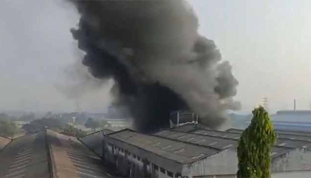 Palghar MIDC Fire : पालघर एमआयडीसीमधील कारखान्याला भीषण आग!