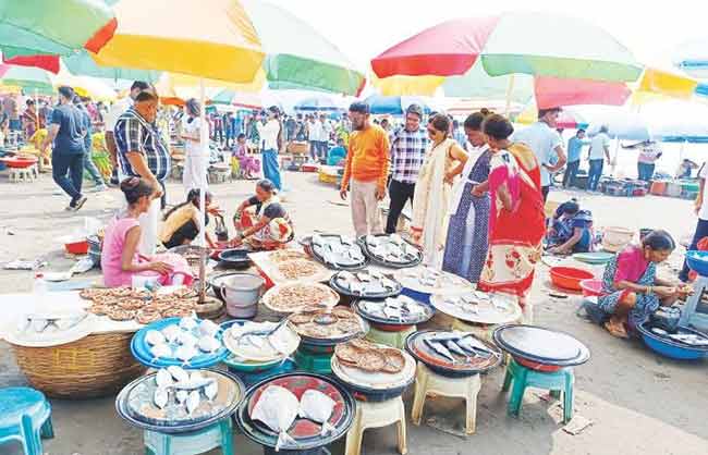 Harnai : हर्णै बंदरात मासळी खरेदीसाठी खवय्यांची गर्दी