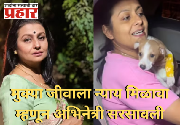 Rape on Puppy : कुत्र्याच्या पिलावर अत्याचार, नराधमाची जामिनावर सुटका
