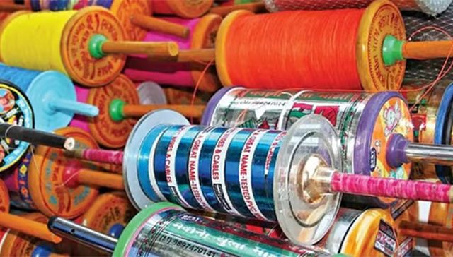 नायलॉन मांजाचे आणखी किती बळी?