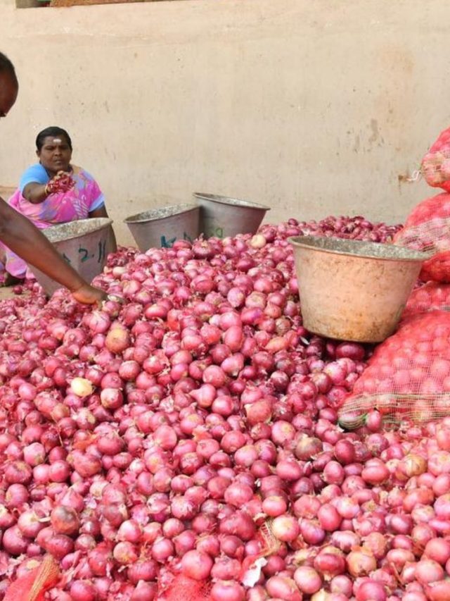 जोरदार पावसामुळे साठवणुकीच्या कांद्याचे होणार नुकसान