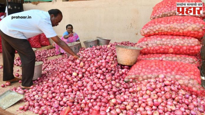 Onion Price