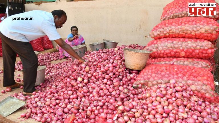 Onion Price