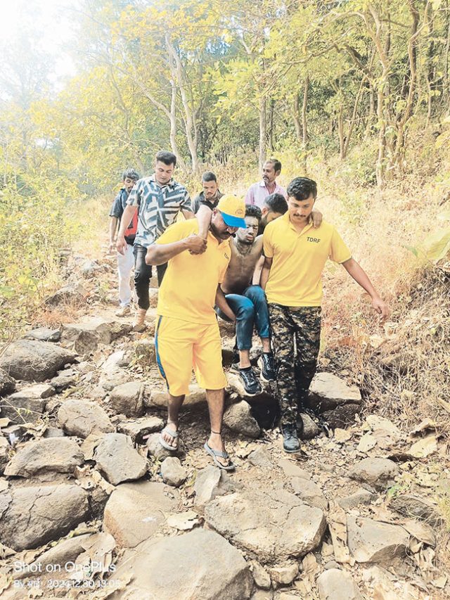 Thane News : ट्रेकिंगसाठी येऊरच्या डोंगरात गेलेल्या युवकांवर मधमाश्यांचा हल्ला