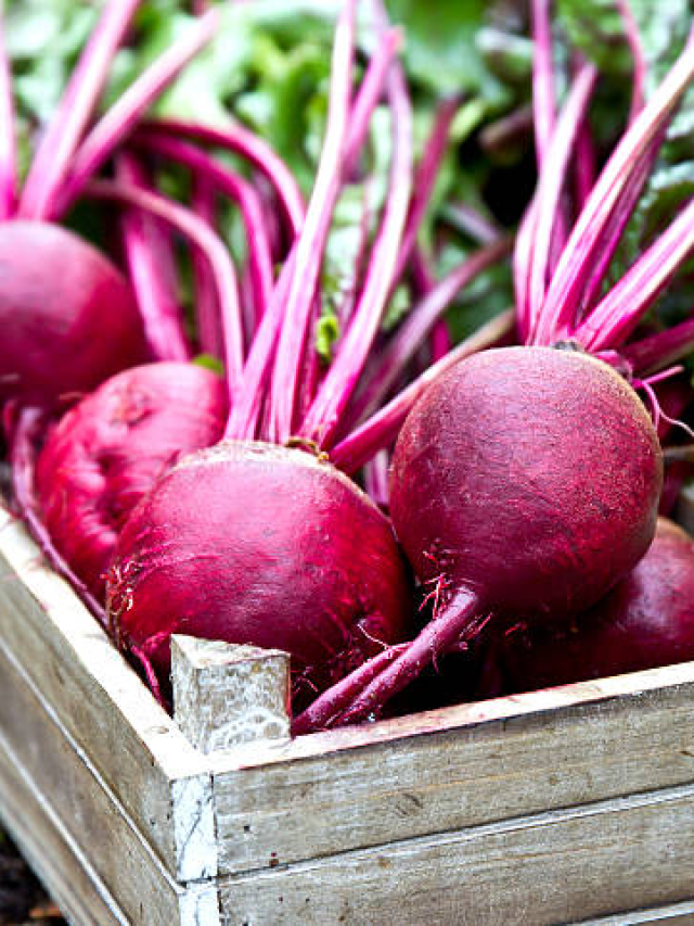 Beetroot Benefits : बीट खाण्याचे ‘हे’ भन्नाट फायदे तुम्हाला माहिती आहेत का ?