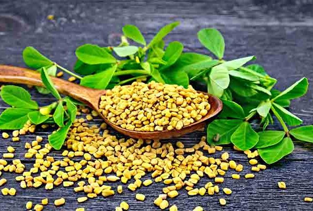 Health Tips : थंडीच्या दिवसांत मेथी खाण्याचे हे आहेत जबरदस्त फायदे