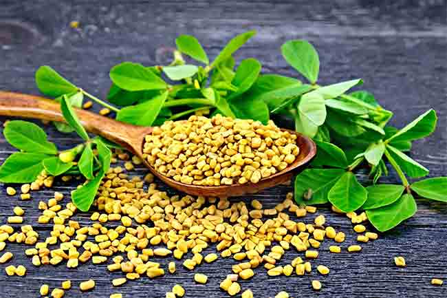 Health Tips : थंडीच्या दिवसांत मेथी खाण्याचे हे आहेत जबरदस्त फायदे