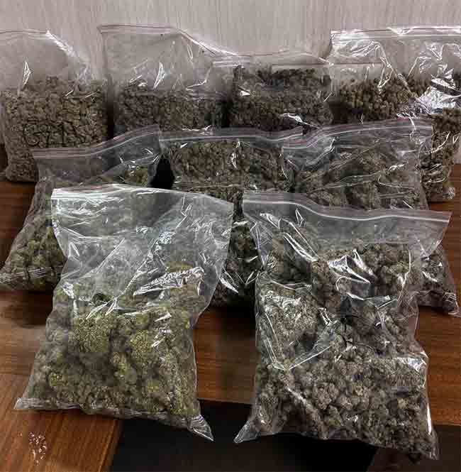 Drugs: मुंबई विमानतळावर तब्बल ११ कोटींहून अधिक किंमतीचा गांजा जप्त, एका व्यक्तीला अटक
