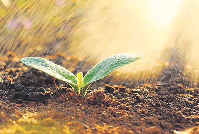 मृदगंध...