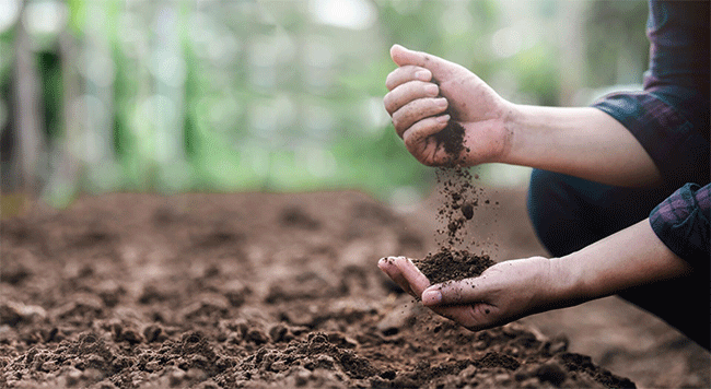 Save Soil : माती जपली नाही, तर…