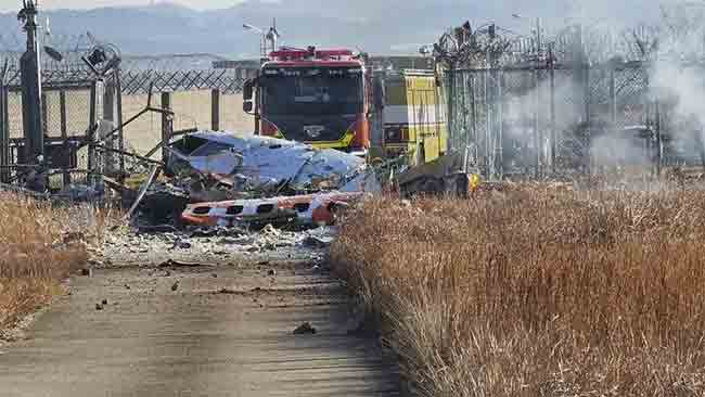 Plane Accident : दक्षिण कोरियातील विमान अपघातातील मृतांची संख्या १७७वर, १८१ जण होते विमानात