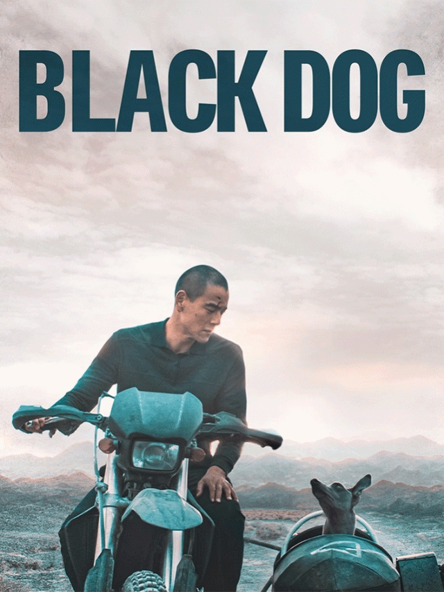 Black Dog Film : ‘ब्लॅक डॉग’ चित्रपटाने उघडणार थर्ड आय आशियाई चित्रपटाचा पडदा