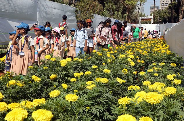 Mumbai Flower Festival : राणीच्या बागेत फ्लॉवर फेस्टिव्हलला प्रारंभ! तीन दिवस बहरणार पुष्पोत्सव