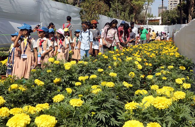 Mumbai Flower Festival : राणीच्या बागेत फ्लॉवर फेस्टिव्हलला प्रारंभ! तीन दिवस बहरणार पुष्पोत्सव