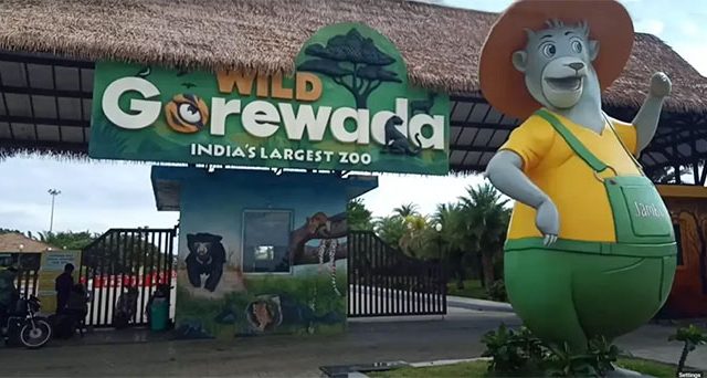Gorewada Zoo : नागपूर प्राणीसंग्रहालयातील तीन वाघ आणि एका बिबट्याचा मृत्यू!