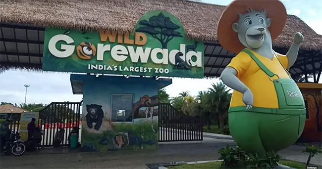 Nagpur gorewada zoo