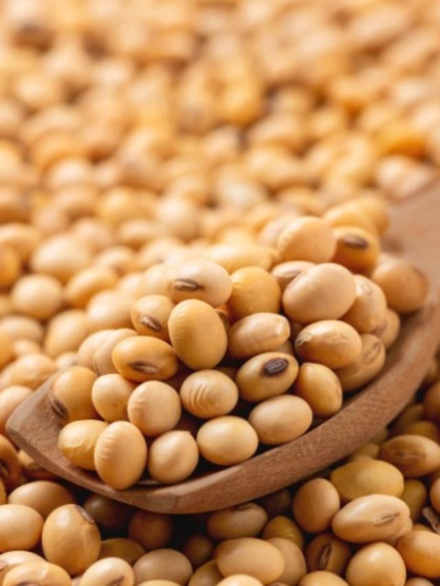 Soybean : देशात सर्वाधिक सोयाबीन खरेदी महाराष्ट्रात