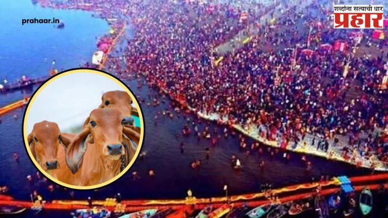 Mahakumbh 2025 : गायीला राष्ट्रमातेच्या दर्जासाठी महाकुंभमेळ्यात होणार ‘महायज्ञ’