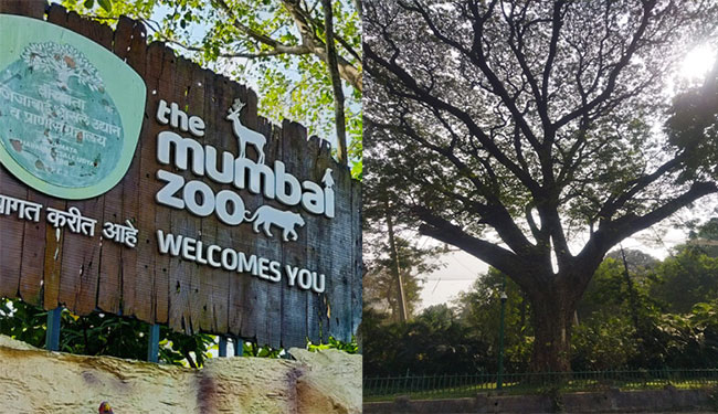 Mumbai Rani Baug