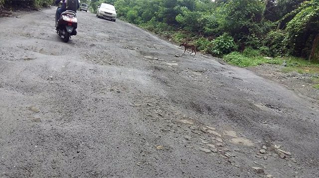 Wadkhal-Alibagh Road : वडखळ-अलिबाग रस्त्याच्या कामाची टोलवाटोलवी सुरू