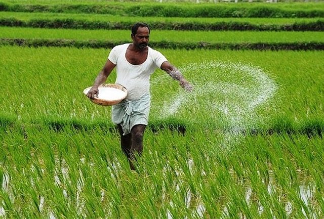 महाराष्ट्रातील शेतकऱ्यांसाठी आनंदाची बातमी