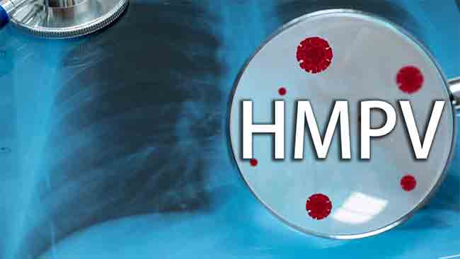 HMPV virus