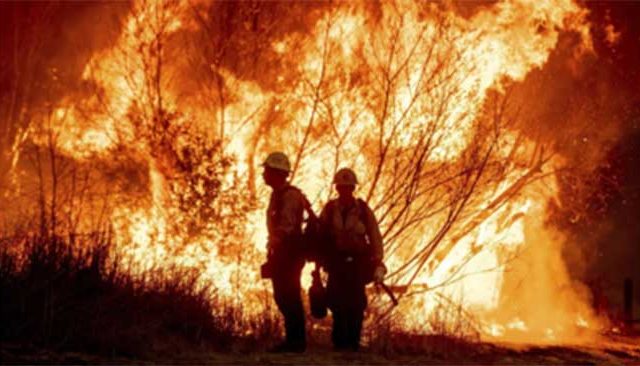 Los Angeles Wildfire : बॉलिवूडची ‘ही’ अभिनेत्री अडकली लॉस एंजेलिसच्या अग्नितांडवात!