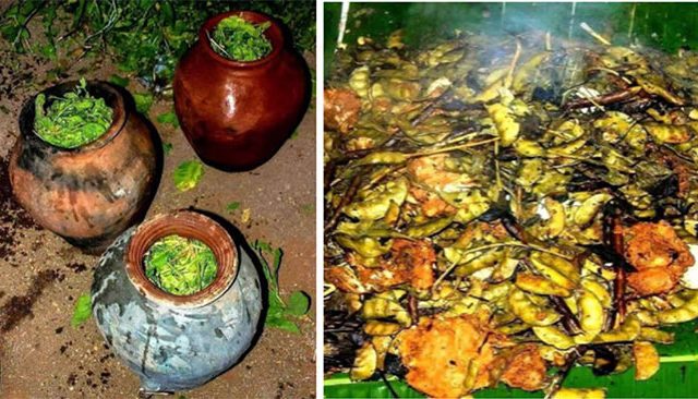 popti party : माणगावमध्ये पोपटीचा सुटला घमघमाट!