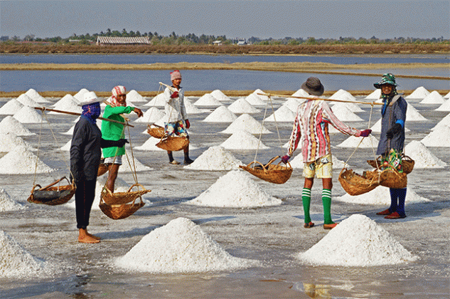 Salt Buisness :  पेण तालुक्यातील शेतकऱ्यांचा मीठ व्यवसायाला नवसंजीवनी देण्याचा प्रयत्न