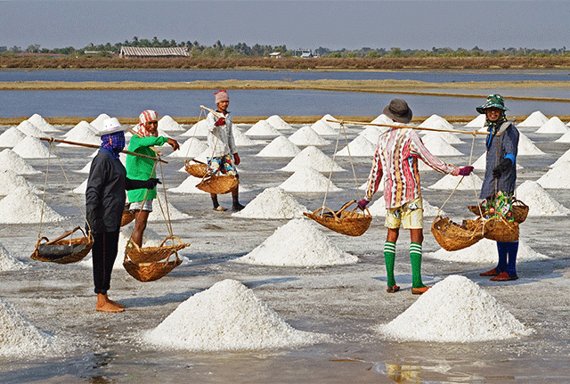Salt Buisness :  पेण तालुक्यातील शेतकऱ्यांचा मीठ व्यवसायाला नवसंजीवनी देण्याचा प्रयत्न
