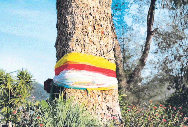 नवस…… बाल हक्काचा...!