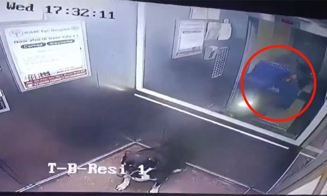 Viral Video : मुलाने कुत्र्याला लिफ्टमध्ये आणण्यास दिला नकार; चिडलेल्या महिलेने काय केले पहाच...