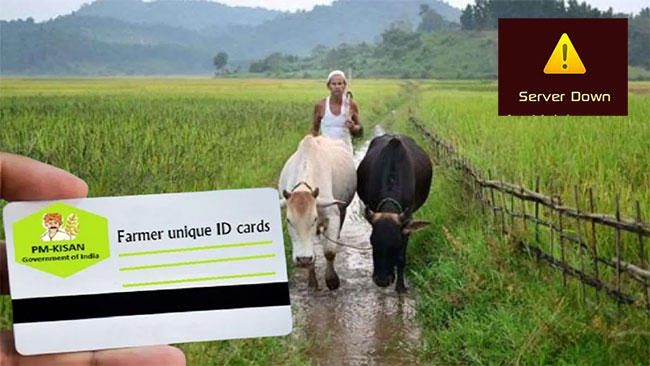 Farmer ID server down